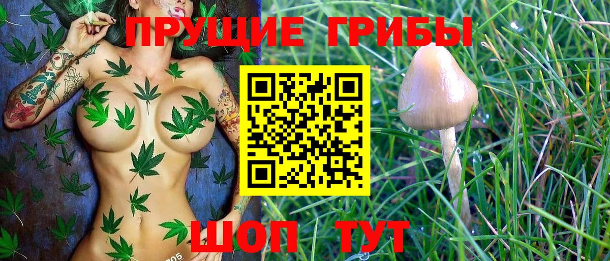 Галлюциногенные грибы Psilocybine cubensis  Вход с VPN  Великий Устюг 