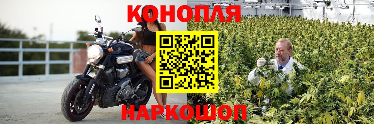 Великий Устюг  Марихуана сатива  Вход с VPN  Каннабис THC 21% 